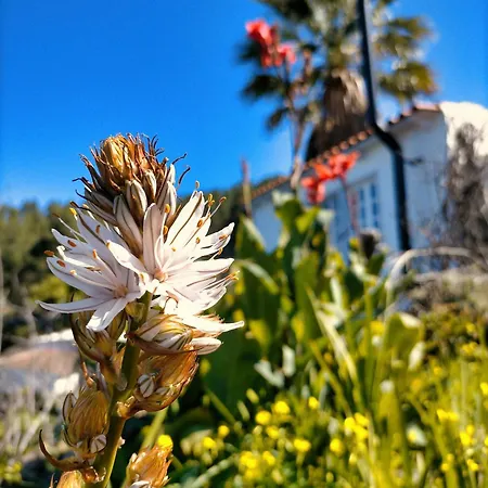 Feriehus Casita De Estrellas