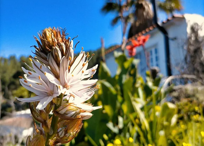 別荘 Casita De Estrellas