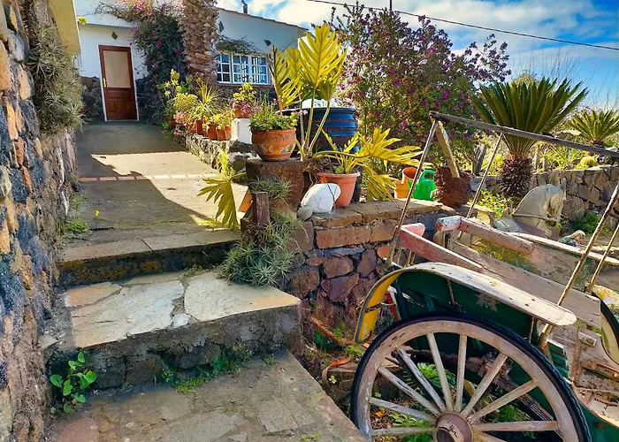 Semesterbostad Casita De Estrellas Icod De Los Vinos